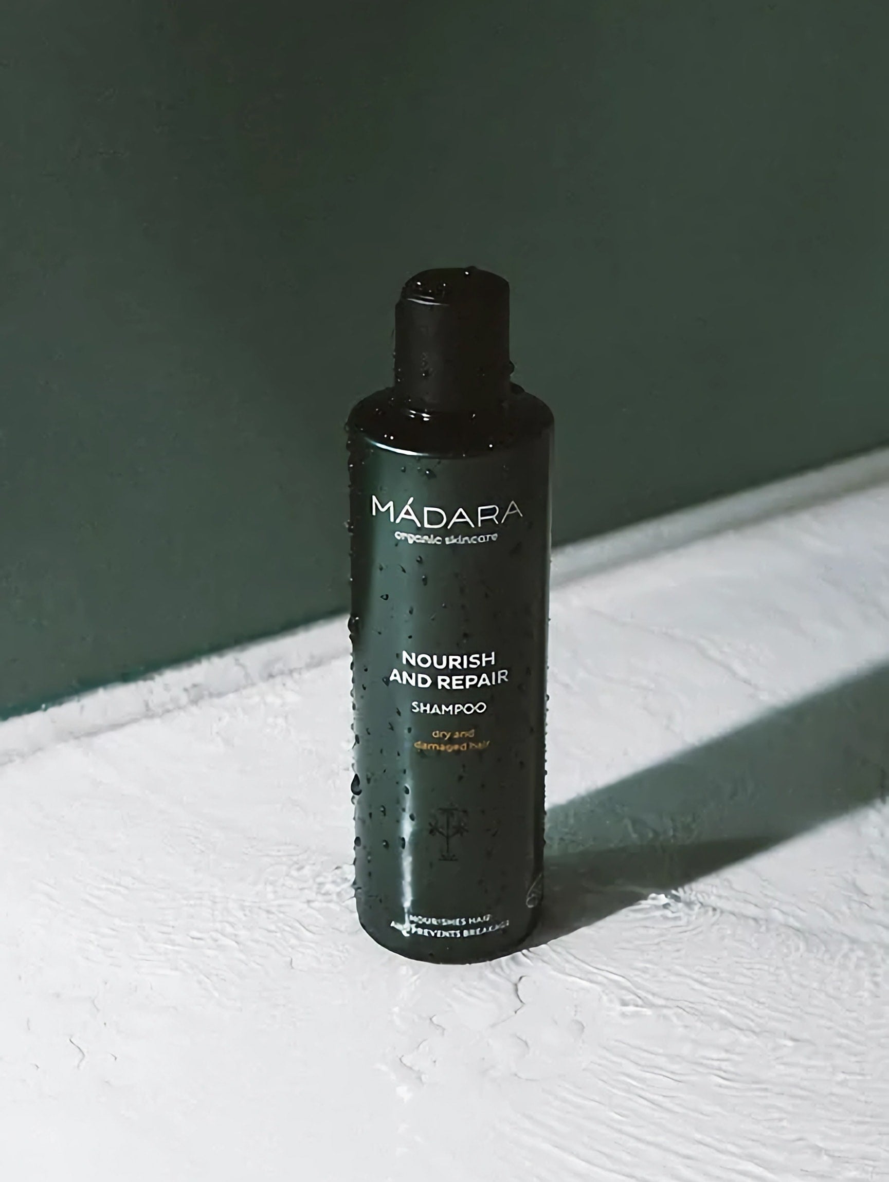 Gloss and Vibrancy Shampoo