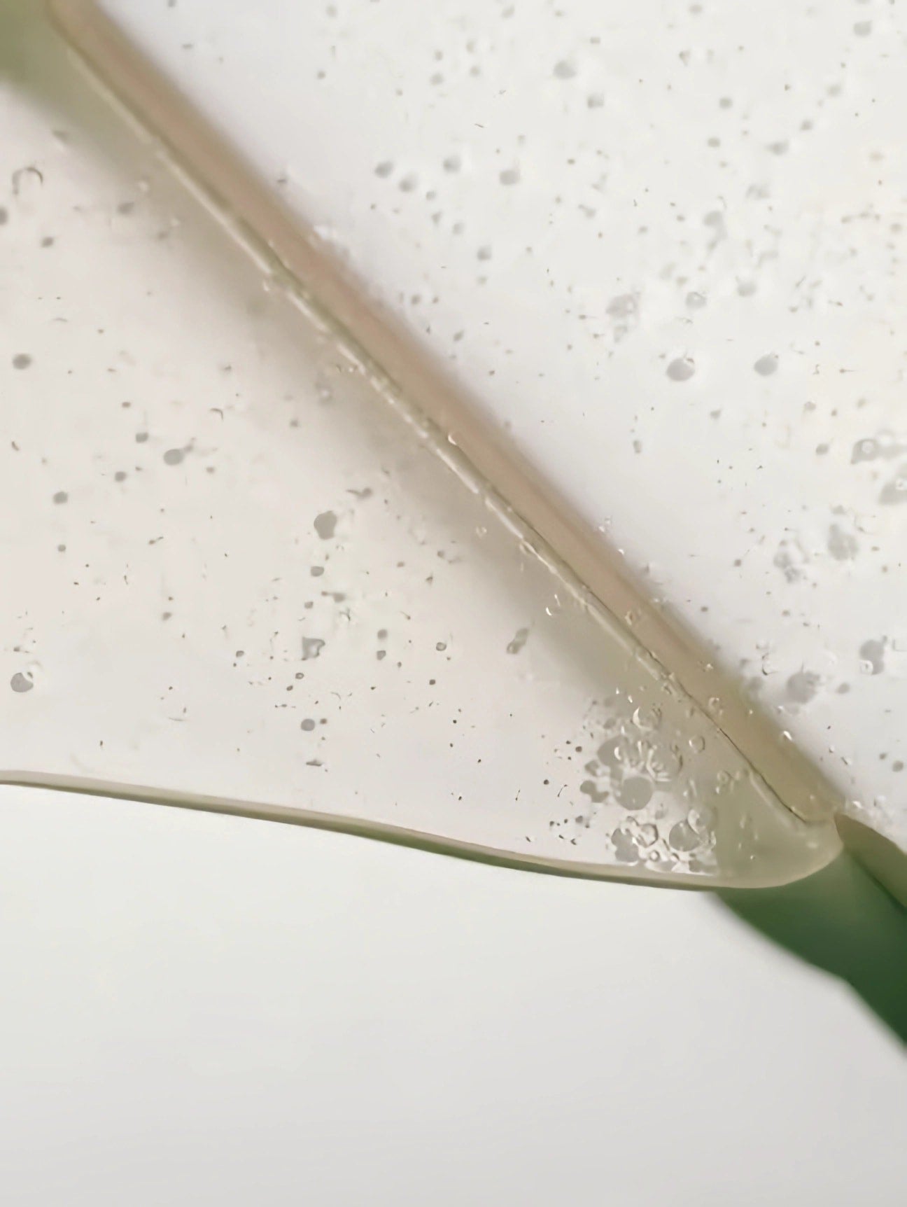 Natural Moisture Wash 3